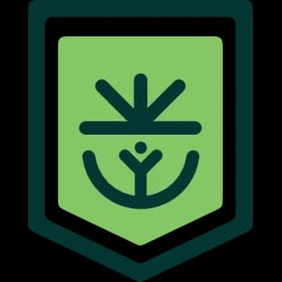 Cynthia International School